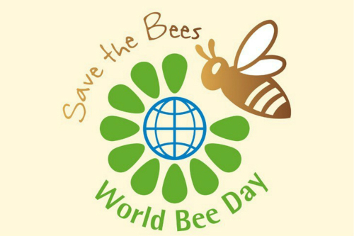 FAO Director-General José Graziano da Silva’s Message on World Bee Day 2019