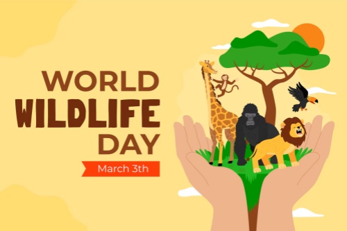 World Wildlife Day 2025